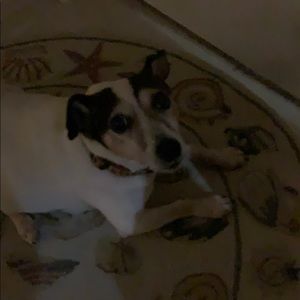 Meet your Posher, Susan